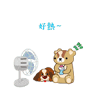 daydream bear daydream（個別スタンプ：15）