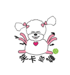 Pink poodle dog daily（個別スタンプ：2）