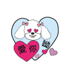 Pink poodle dog daily（個別スタンプ：3）