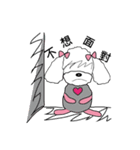 Pink poodle dog daily（個別スタンプ：5）