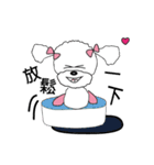 Pink poodle dog daily（個別スタンプ：8）