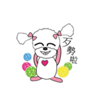 Pink poodle dog daily（個別スタンプ：13）