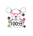 Pink poodle dog daily（個別スタンプ：17）