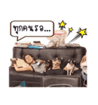 Ivanda（個別スタンプ：15）