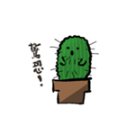 Cactus Uncle（個別スタンプ：11）