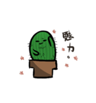 Cactus Uncle（個別スタンプ：24）