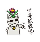 Handsome and smart meow meow grass（個別スタンプ：1）