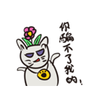 Handsome and smart meow meow grass（個別スタンプ：7）