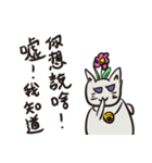 Handsome and smart meow meow grass（個別スタンプ：13）