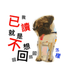 .PUG.（個別スタンプ：20）