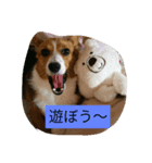 genkidog（個別スタンプ：3）