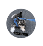 button171018（個別スタンプ：5）