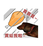 I am dachshund, Co-Co（個別スタンプ：22）