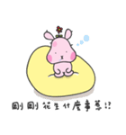 Hello, Dodo Rabbit（個別スタンプ：30）