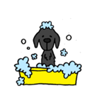 Black Labrador Retriever！！黒ラブ（個別スタンプ：6）