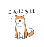 Every Day Dog 柴犬 日本語（個別スタンプ：1）