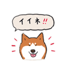 Every Day Dog 柴犬 日本語（個別スタンプ：10）