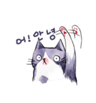 Taros Cat-Korean（個別スタンプ：5）