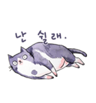 Taros Cat-Korean（個別スタンプ：14）