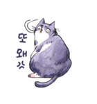 Taros Cat-Korean（個別スタンプ：30）