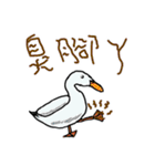 Shen bird（個別スタンプ：15）