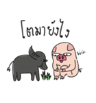 Family PIG the sibling（個別スタンプ：12）