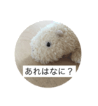 可愛い動物達 。（個別スタンプ：1）