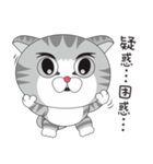 Cute dumb eye cat 4（個別スタンプ：1）