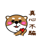 I am a dog, not a bear（個別スタンプ：20）