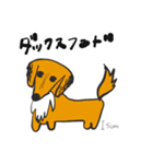 犬好きのためのスタンプ（個別スタンプ：1）