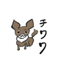 犬好きのためのスタンプ（個別スタンプ：20）