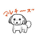 犬好きのためのスタンプ（個別スタンプ：31）