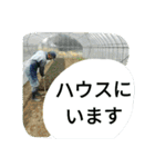 農家の農作業スタンプ1（個別スタンプ：33）