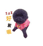 Puppies'funny life（個別スタンプ：5）