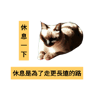 Siamese cat from taiwan 4（個別スタンプ：11）