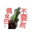 Iguana iguana（個別スタンプ：2）