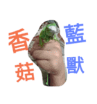 Iguana iguana（個別スタンプ：6）