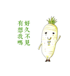 White Radish ＆ Carrot（個別スタンプ：11）