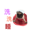 The feelings of Pag Ugly little Sister（個別スタンプ：6）