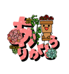 多肉文字と鉢人形くん（個別スタンプ：17）