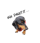 TJ the Lovely Dachshund（個別スタンプ：7）