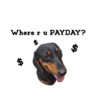 TJ the Lovely Dachshund（個別スタンプ：8）