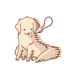 Daily Golden Retriever（個別スタンプ：3）