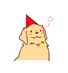 Daily Golden Retriever（個別スタンプ：4）