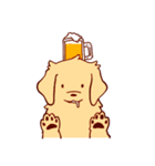 Daily Golden Retriever（個別スタンプ：6）