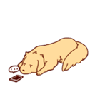 Daily Golden Retriever（個別スタンプ：8）