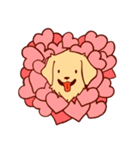 Daily Golden Retriever（個別スタンプ：9）