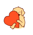 Daily Golden Retriever（個別スタンプ：11）