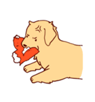 Daily Golden Retriever（個別スタンプ：13）