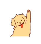 Daily Golden Retriever（個別スタンプ：18）